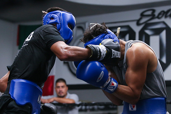 Diego Pacheco Workout