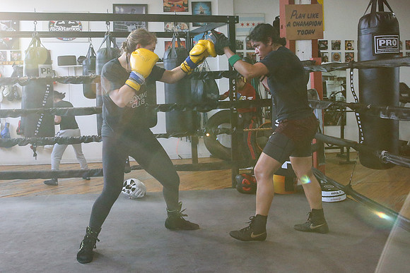 Body Shot Boxing Club Sparring Day