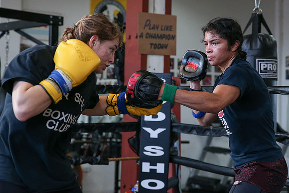 Body Shot Boxing Club Sparring Day