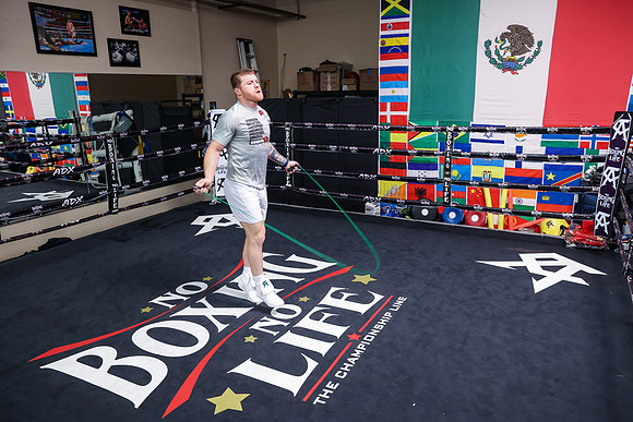 Boxing: Saul "Canelo" Alvarez Training